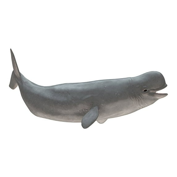 Slick Woody's 60" Beluga Whale Vinyl Underwater Pool Mat Tattoo in Gray