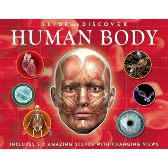 Pre-Owned Slide and Discover: Human Body