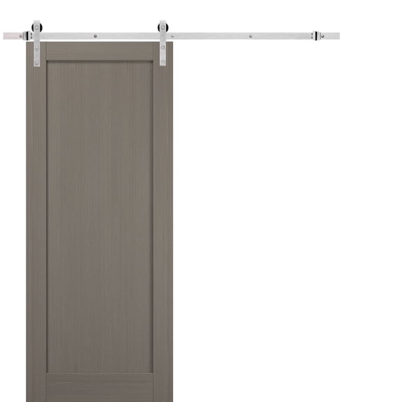 Sliding Barn Door | Quadro 4111 Grey Ash | Sample of Color
