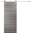 thumbnail image 1 of Sliding Barn Door with 6.6ft Hardware | Planum 0020 | Rail Hangers Sturdy Silver Set | Modern Solid Panel Interior Doors-36" x 84"-Silver Rail, 1 of 6