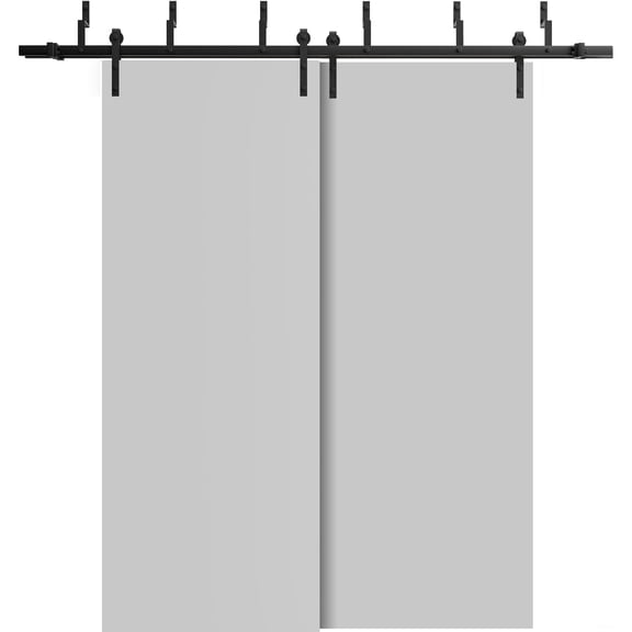 Sliding Closet Barn Bypass Doors 48 x 80 inches | Planum 0010 Matte Grey | Sturdy 6.6ft Rails Hardware Set | Wood Solid Bedroom Wardrobe Doors