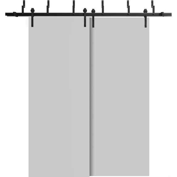 Sliding Closet Barn Bypass Doors 48 x 80 inches | Planum 0010 Matte Grey | Sturdy 6.6ft Rails Hardware Set | Wood Solid Bedroom Wardrobe Doors