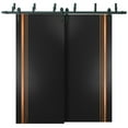 thumbnail image 1 of Sliding Closet Barn Bypass Doors 60 x 96 inches | Planum 1010 Matte Black with Frosted Glass | Sturdy 6.6ft Rails Hardware Set | Wood Solid Bedroom Wardrobe Doors, 1 of 6
