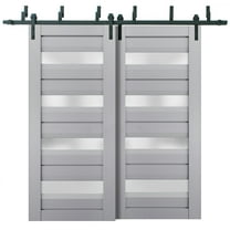Sliding Closet Barn Bypass Doors with Frosted Glass | Veregio 7455 Matte Grey | Sturdy 6.6ft Rails Hardware Set | Wood Solid Bedroom Wardrobe Doors -36" x 96" (2* 18x96)