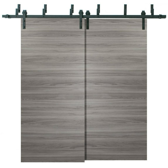 Sliding Closet Barn Bypass Doors | Planum 0010 Ginger Ash | Sturdy Top Mount 6.6ft Rails Hardware Set | Wood Solid Bedroom Wardrobe Doors -84" x 80" (2* 42x80)