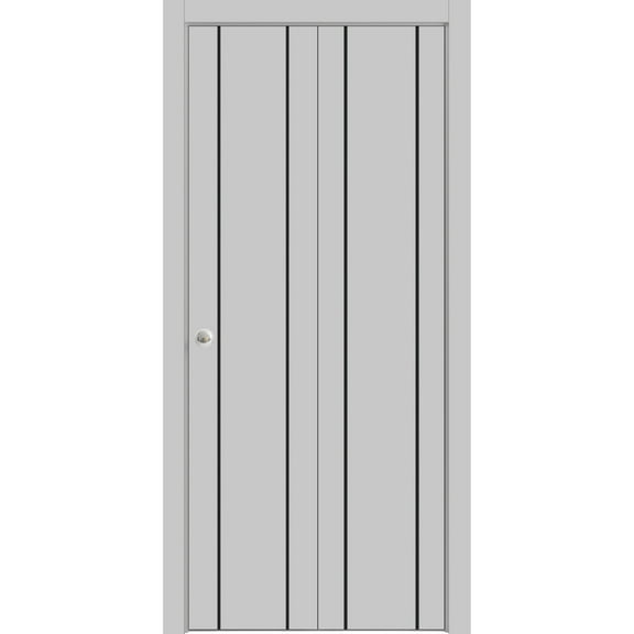 Sliding Closet Bi-fold Doors 36 x 80 inches | Planum 0016 Grey Matte with Frosted Glass | Sturdy Tracks Moldings Trims Hardware Set | Wood Solid Bedroom Wardrobe Doors