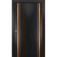 thumbnail image 1 of Sliding Closet Bi-fold Doors 36 x 84 inches | Planum 1010 Matte Black with Frosted Glass | Sturdy Tracks Moldings Trims Hardware Set | Wood Solid Bedroom Wardrobe Doors, 1 of 5