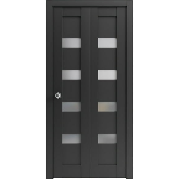 Sliding Closet Bi-fold Doors 48 x 80 inches | Quadro 4113 Matte Black with Frosted Glass | Sturdy Tracks Moldings Trims Hardware Set | Wood Solid Bedroom Wardrobe Doors