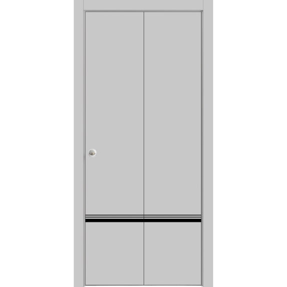 Sliding Closet Bi-fold Doors 48 x 96 inches | Planum 0012 Grey Matte with Frosted Glass | Sturdy Tracks Moldings Trims Hardware Set | Wood Solid Bedroom Wardrobe Doors