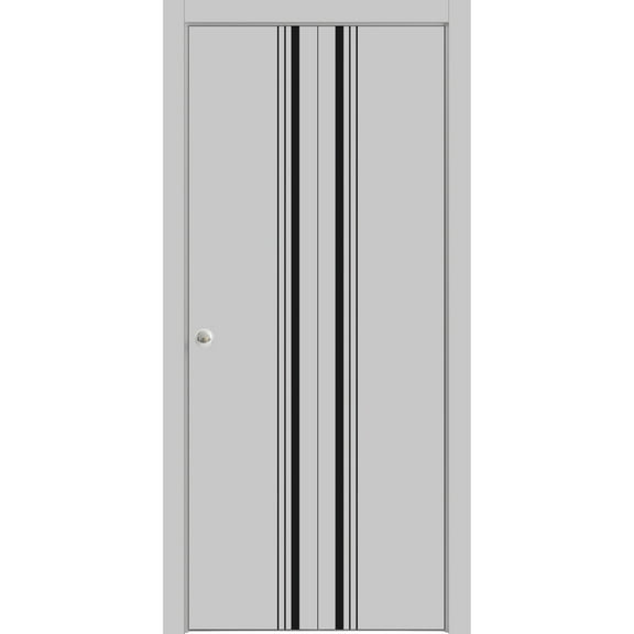 Sliding Closet Bi-fold Doors | Planum 0011 Matte Grey