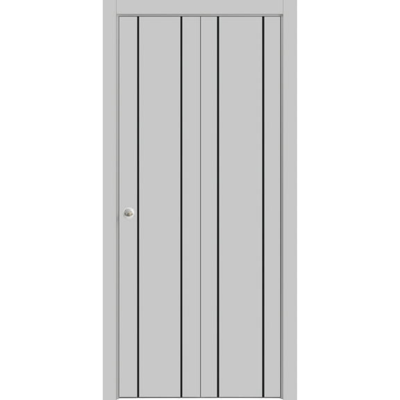Sliding Closet Bi-fold Doors 72 x 96 inches | Planum 0016 Grey Matte with Frosted Glass | Sturdy Tracks Moldings Trims Hardware Set | Wood Solid Bedroom Wardrobe Doors