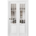 thumbnail image 1 of Sliding Closet Bi-fold Doors | Felicia 3599 White Silk with Clear Glass, 1 of 5