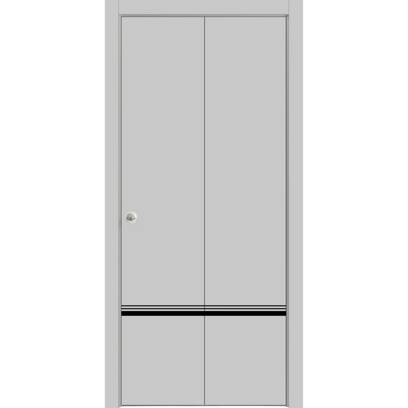 Sliding Closet Bi-fold Doors | Planum 0012 Matte Grey