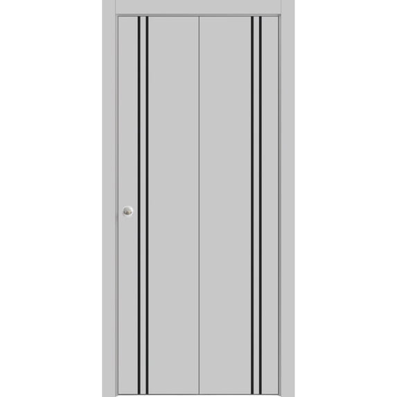 Sliding Closet Bi-fold Doors | Planum 0016 Matte Grey