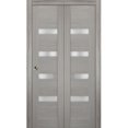 thumbnail image 1 of Sliding Closet Bi-fold Doors | Quadro 4113 Grey Ash with Frosted Glass, 1 of 5