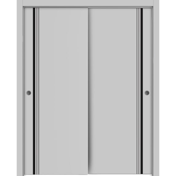 Sliding Closet Bypass Doors 36 x 80 inches | Planum 0011 Grey Matte with Frosted Glass | Sturdy Rails Moldings Trims Hardware Set | Wood Solid Bedroom Wardrobe Doors