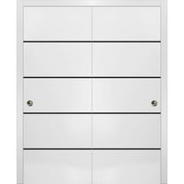 Sliding Closet Bypass Doors 36 x 80 inches | Planum 0015 White Silk with Frosted Glass | Sturdy Rails Moldings Trims Hardware Set | Wood Solid Bedroom Wardrobe Doors