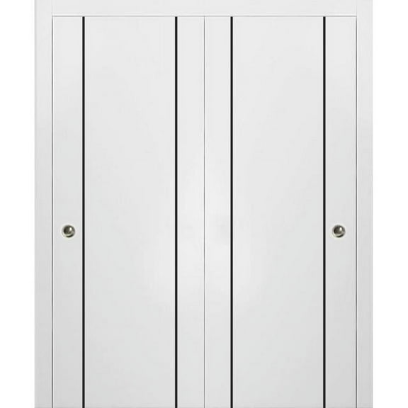 Sliding Closet Bypass Doors 36 x 80 inches | Planum 0016 White Silk with Frosted Glass | Sturdy Rails Moldings Trims Hardware Set | Wood Solid Bedroom Wardrobe Doors