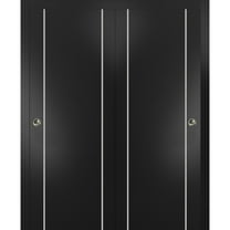 Sliding Closet Bypass Doors 36 x 80 inches | Planum 0410 Matte Black with Frosted Glass | Sturdy Rails Moldings Trims Hardware Set | Wood Solid Bedroom Wardrobe Doors