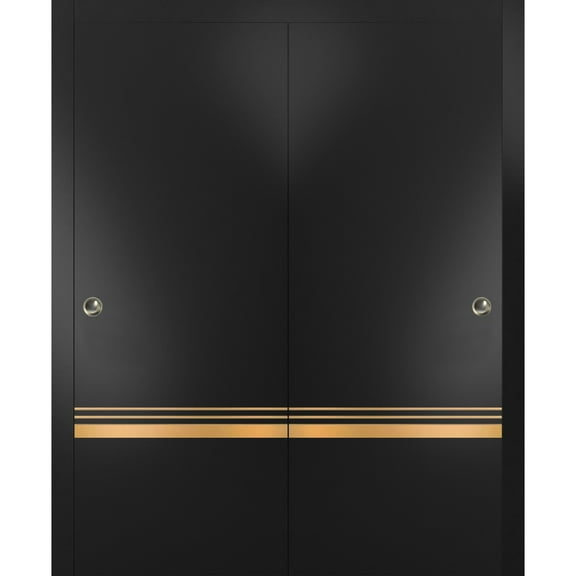 Sliding Closet Bypass Doors 36 x 80 inches | Planum 2010 Matte Black with Frosted Glass | Sturdy Rails Moldings Trims Hardware Set | Wood Solid Bedroom Wardrobe Doors