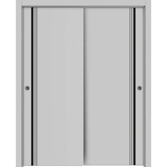 Sliding Closet Bypass Doors 56 x 84 inches | Planum 0011 Grey Matte with Frosted Glass | Sturdy Rails Moldings Trims Hardware Set | Wood Solid Bedroom Wardrobe Doors