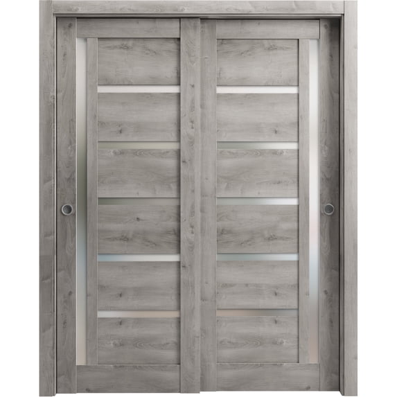 Sliding Closet Bypass Doors 60 x 80 inches | Quadro 4088 Nebraska Grey with Frosted Glass | Sturdy Rails Moldings Trims Hardware Set | Wood Solid Bedroom Wardrobe Doors