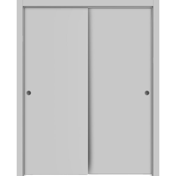 Sliding Closet Bypass Doors 64 x 80 inches | Planum 0010 Matte Grey | Sturdy Rails Moldings Trims Hardware Set | Wood Solid Bedroom Wardrobe Doors