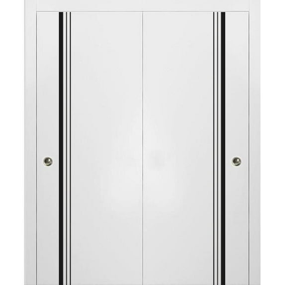 Sliding Closet Bypass Doors 64 x 80 inches | Planum 0011 White Silk with Frosted Glass | Sturdy Rails Moldings Trims Hardware Set | Wood Solid Bedroom Wardrobe Doors