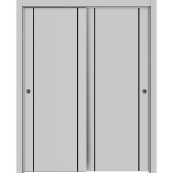 Sliding Closet Bypass Doors 64 x 80 inches | Planum 0016 Grey Matte with Frosted Glass | Sturdy Rails Moldings Trims Hardware Set | Wood Solid Bedroom Wardrobe Doors