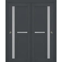 Sliding Closet Bypass Doors with Frosted Glass | Veregio 7288 Antracite| Sturdy Rails Moldings Trims Hardware Set | Wood Solid Bedroom Wardrobe Doors -36" x 84" (2* 18x84)