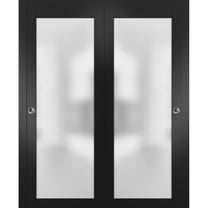 Sliding Closet Bypass Doors with Hardware | Planum 2102 Matte Black with Frosted Glass | Sturdy Rails Moldings Trims Hardware Set | Modern Wood Solid Bedroom Wardrobe Doors -36" x 84" (2* 18x84)