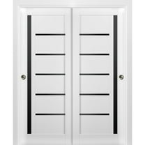 Sliding Closet Bypass Doors | Quadro 4588 White Silk with Black Glass | Sturdy Rails Moldings Trims Hardware Set | Wood Solid Bedroom Wardrobe Doors -36" x 84" (2* 18x84)-Black Glass