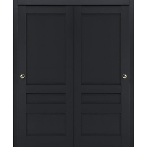 Sliding Closet Bypass Doors | Veregio 7411 Antracite| Sturdy Rails Moldings Trims Hardware Set | Wood Solid Bedroom Wardrobe Doors -36" x 84" (2* 18x84)