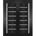 thumbnail image 1 of Sliding Closet Bypass Doors inches | Quadro 4088 Matte Black with Frosted Glass | Sturdy Rails Moldings Trims Hardware Set | Wood Solid Bedroom Wardrobe Doors, 1 of 6