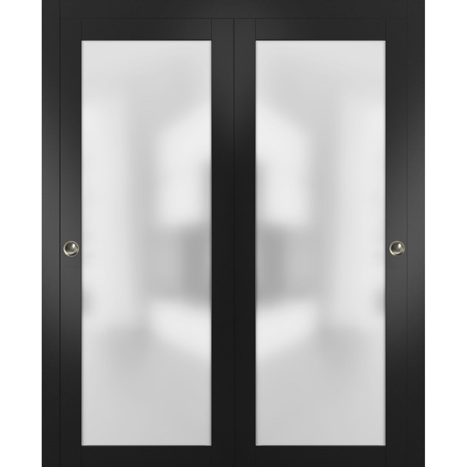 Black Sliding Closet Doors with Frosted Glass Panels and Hardware
