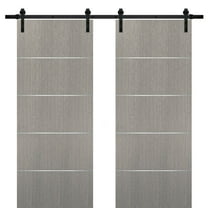Sliding Double Barn Doors 48 x 80 with Hardware
