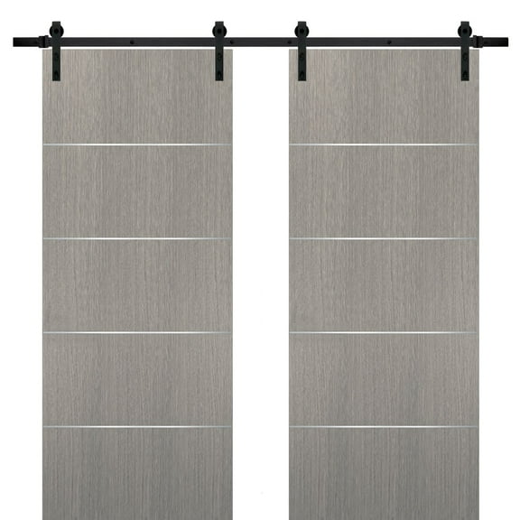 Sliding Double Barn Doors 48 x 80 with Hardware