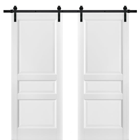 Sliding Double Barn Doors 48 x 80 with Hardware