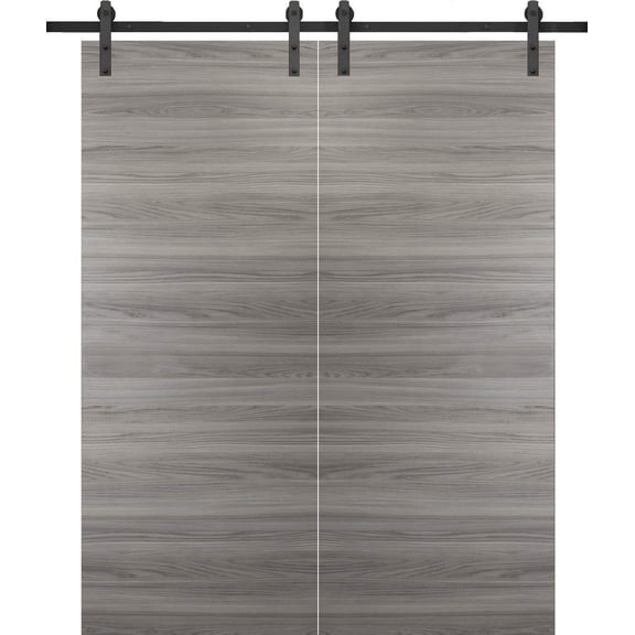 Sliding Double Barn Doors 60 x 80