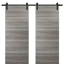 Sliding Double Barn Doors with Hardware | Planum 0020 Ginger Ash | 13FT Rail Hangers Sturdy Set | Modern Solid Panel Interior Hall Bedroom Bathroom Door-36" x 96" (2* 18x96)-Black Rail
