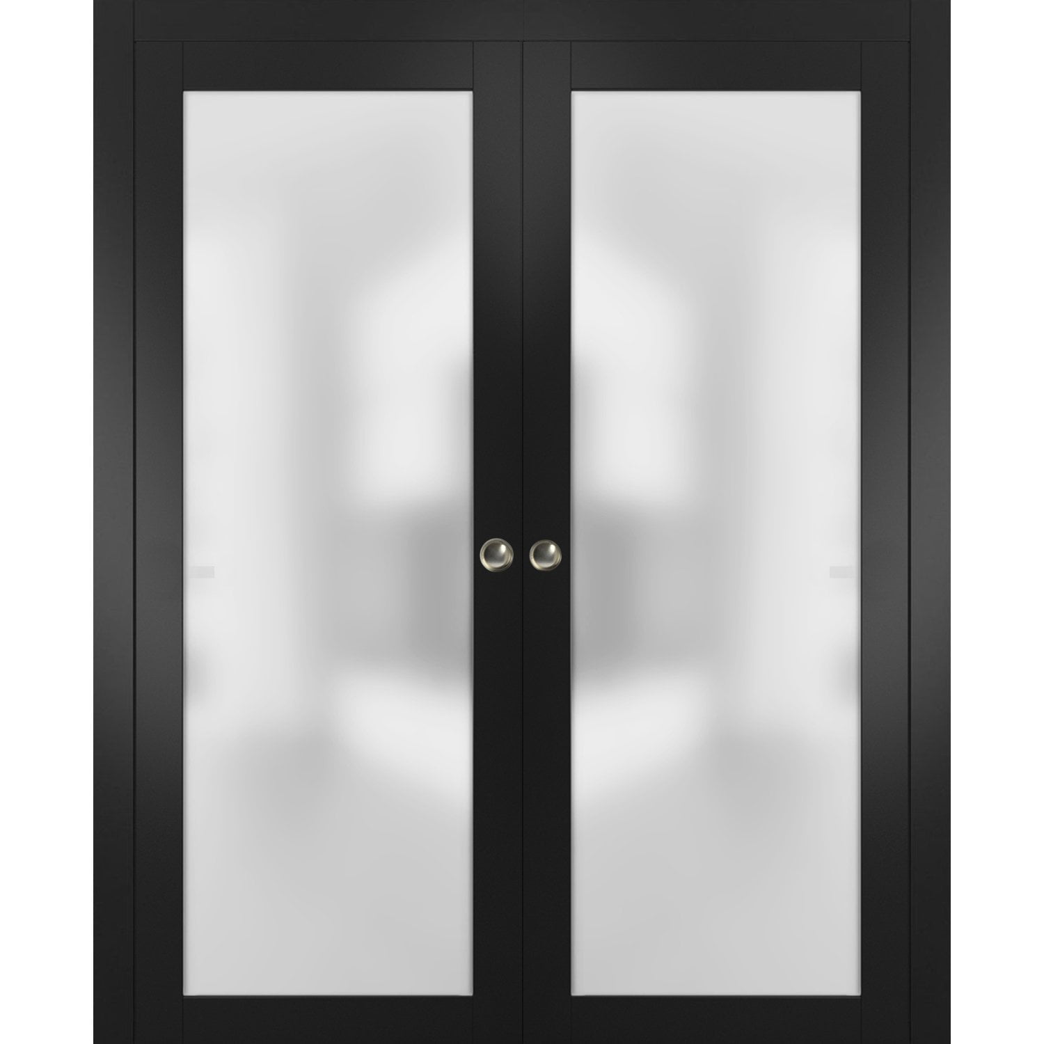 Black Double Sliding Pocket Door with Frosted Glass Panels