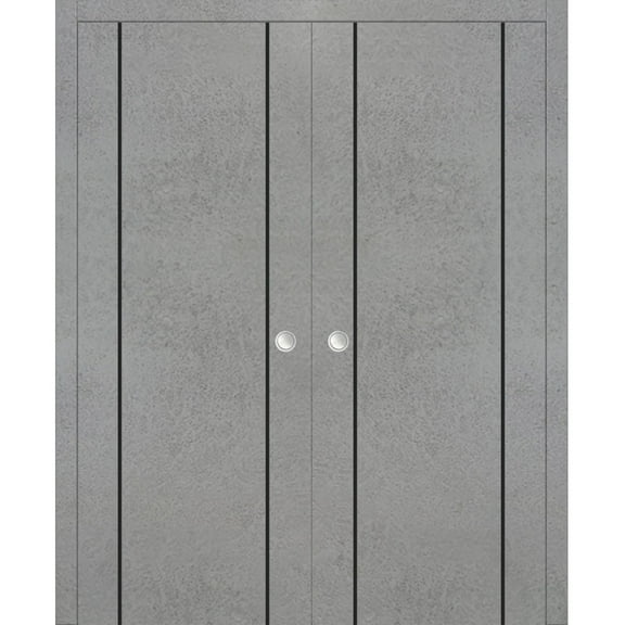 Sliding French Double Pocket Doors 36 x 80 inches | Planum 0016 Concrete with Frosted Glass | Kit Trims Rail Hardware | Solid Wood Interior Bedroom Sturdy Doors