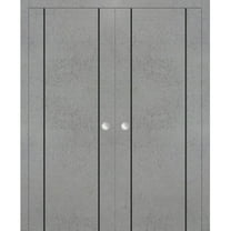 Sliding French Double Pocket Doors 36 x 80 inches | Planum 0016 Concrete with Frosted Glass | Kit Trims Rail Hardware | Solid Wood Interior Bedroom Sturdy Doors