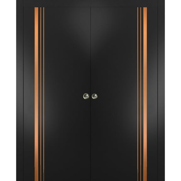 Sliding French Double Pocket Doors 36 x 80 inches | Planum 1010 Matte Black with Frosted Glass | Kit Trims Rail Hardware | Solid Wood Interior Bedroom Sturdy Doors