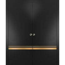 Sliding French Double Pocket Doors 36 x 80 inches | Planum 2010 Matte Black with Frosted Glass | Kit Trims Rail Hardware | Solid Wood Interior Bedroom Sturdy Doors