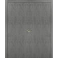 thumbnail image 1 of Sliding French Double Pocket Doors 48 x 80 inches | Planum 0010 Concrete | Kit Trims Rail Hardware | Solid Wood Interior Bedroom Sturdy Doors, 1 of 4