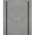 thumbnail image 1 of Sliding French Double Pocket Doors 48 x 84 inches | Planum 0011 Concrete with Frosted Glass | Kit Trims Rail Hardware | Solid Wood Interior Bedroom Sturdy Doors, 1 of 6