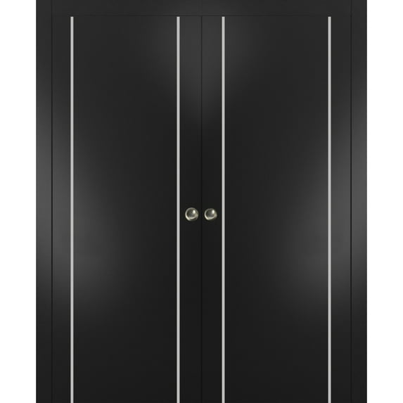 Sliding French Double Pocket Doors 48 x 84 inches | Planum 0410 Matte Black with Frosted Glass | Kit Trims Rail Hardware | Solid Wood Interior Bedroom Sturdy Doors