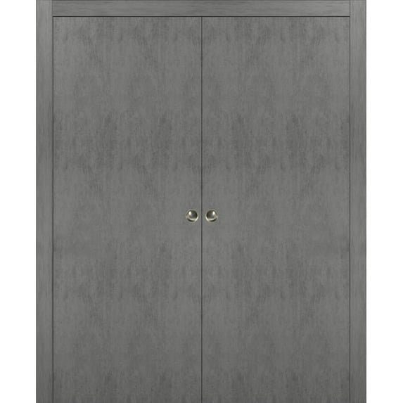 Sliding French Double Pocket Doors 56 x 84 inches | Planum 0010 Concrete | Kit Trims Rail Hardware | Solid Wood Interior Bedroom Sturdy Doors
