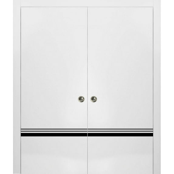 Sliding French Double Pocket Doors 64 x 84 inches | Planum 0012 White Silk with Frosted Glass | Kit Trims Rail Hardware | Solid Wood Interior Bedroom Sturdy Doors
